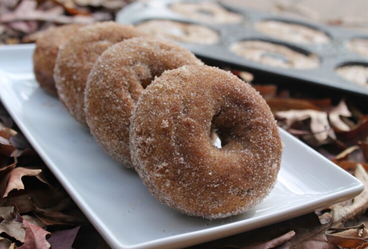 Apple Cider Donuts