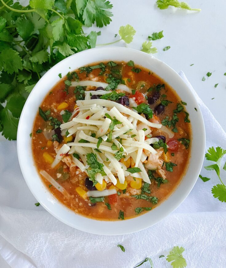 Chicken Enchilada Soup