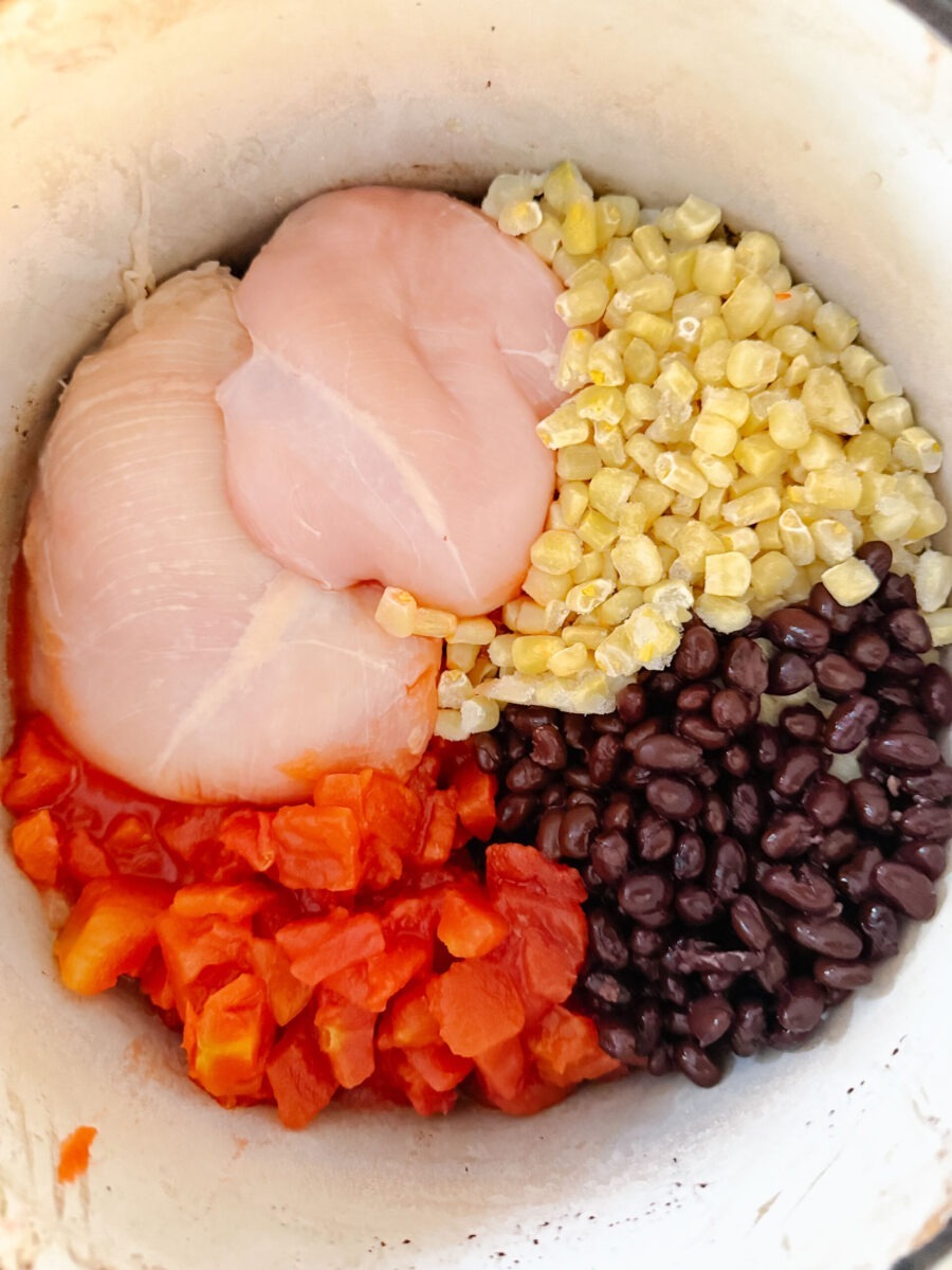 Chicken Enchilada Soup Storing and Freezing
