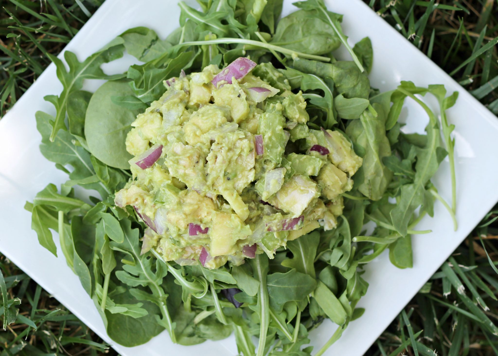 Avocado Chicken Salad
