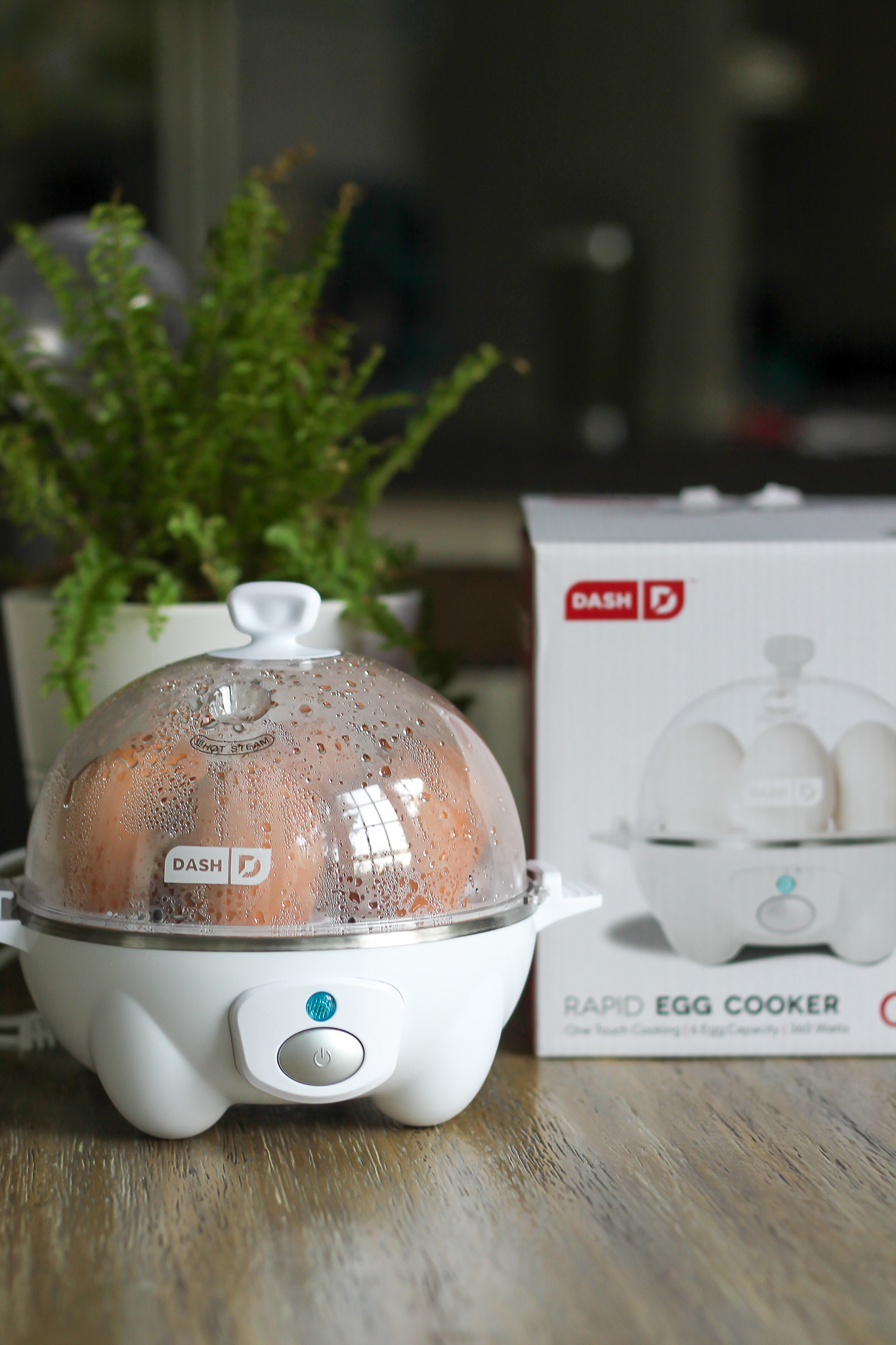 rapid egg cooker 