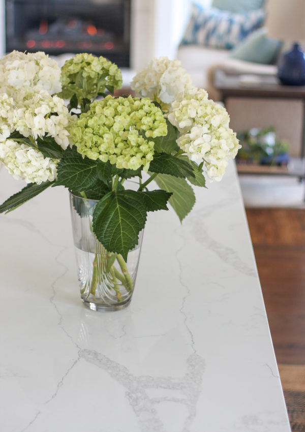 Our Kitchen Reno: Tile & Counter Tops