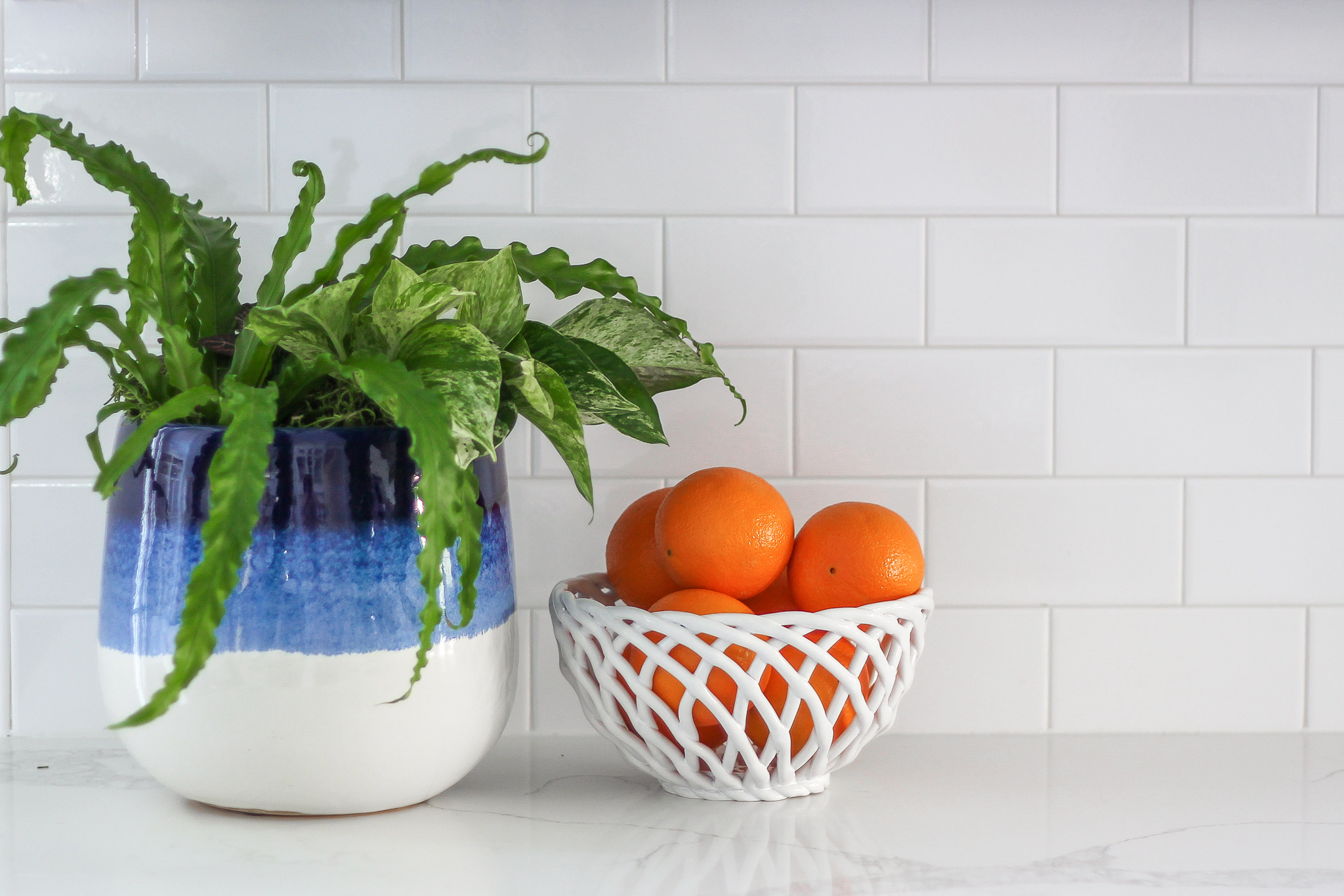 oranges in bowl kitchen counter