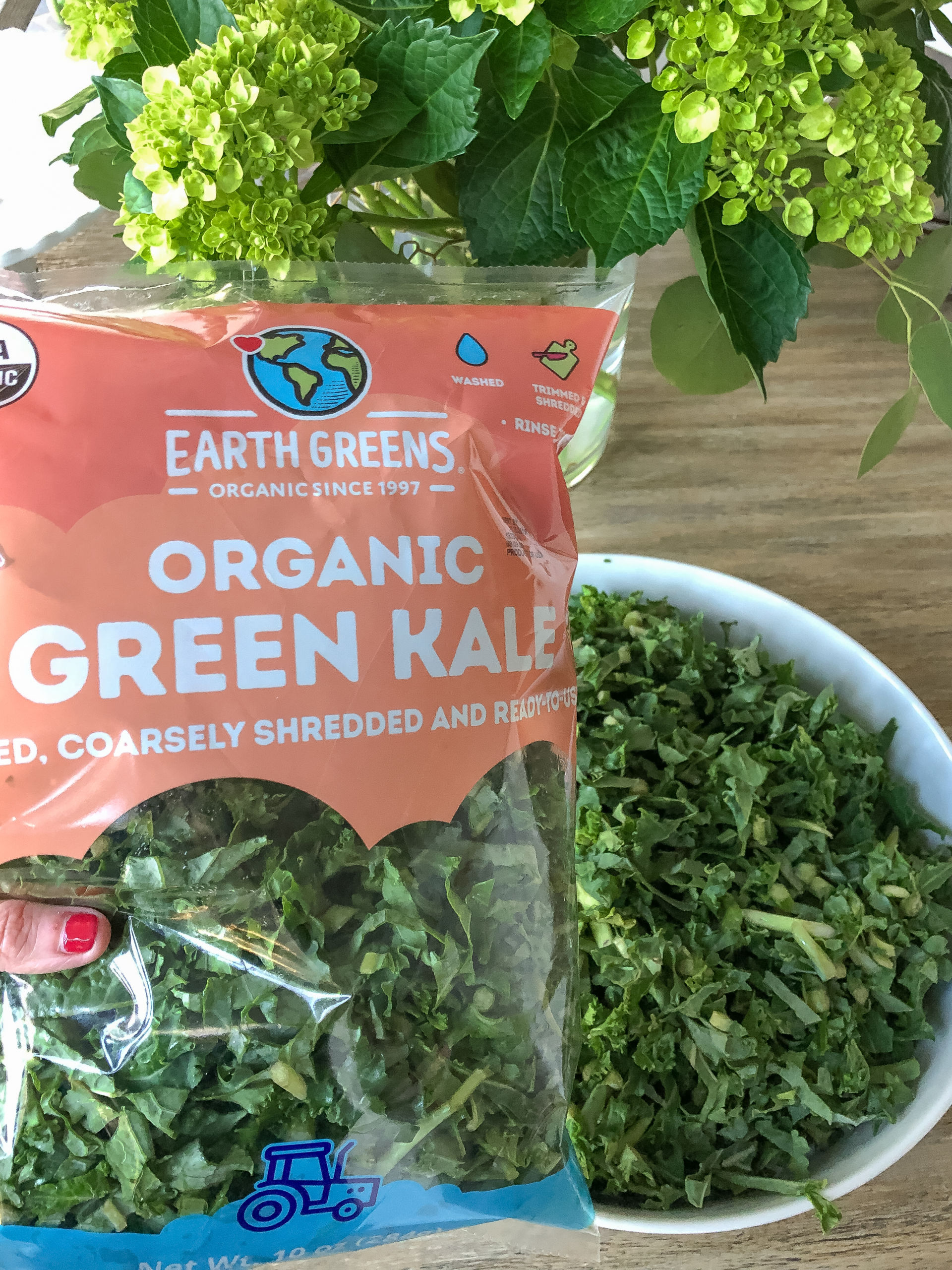 organic green kale 