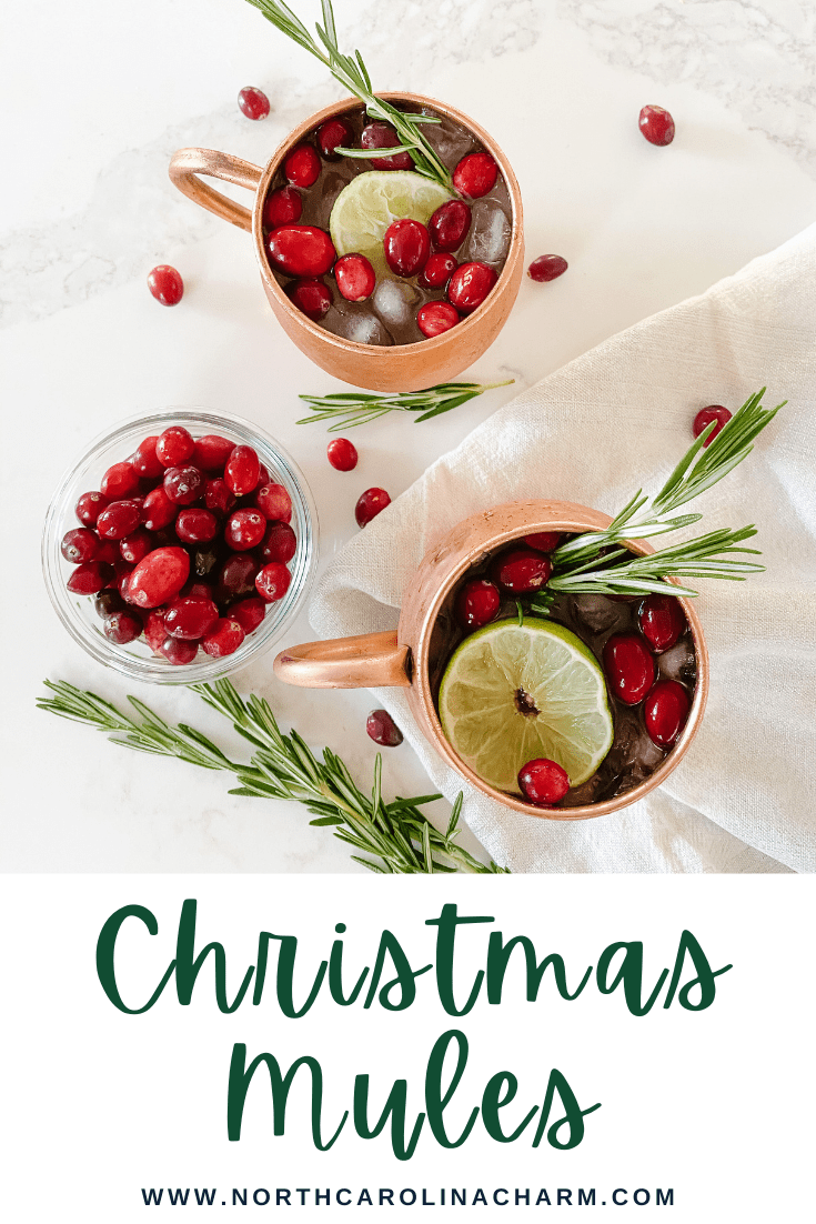 Christmas Moscow Mule