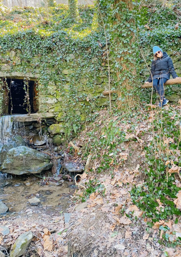 A Weekend in Asheville