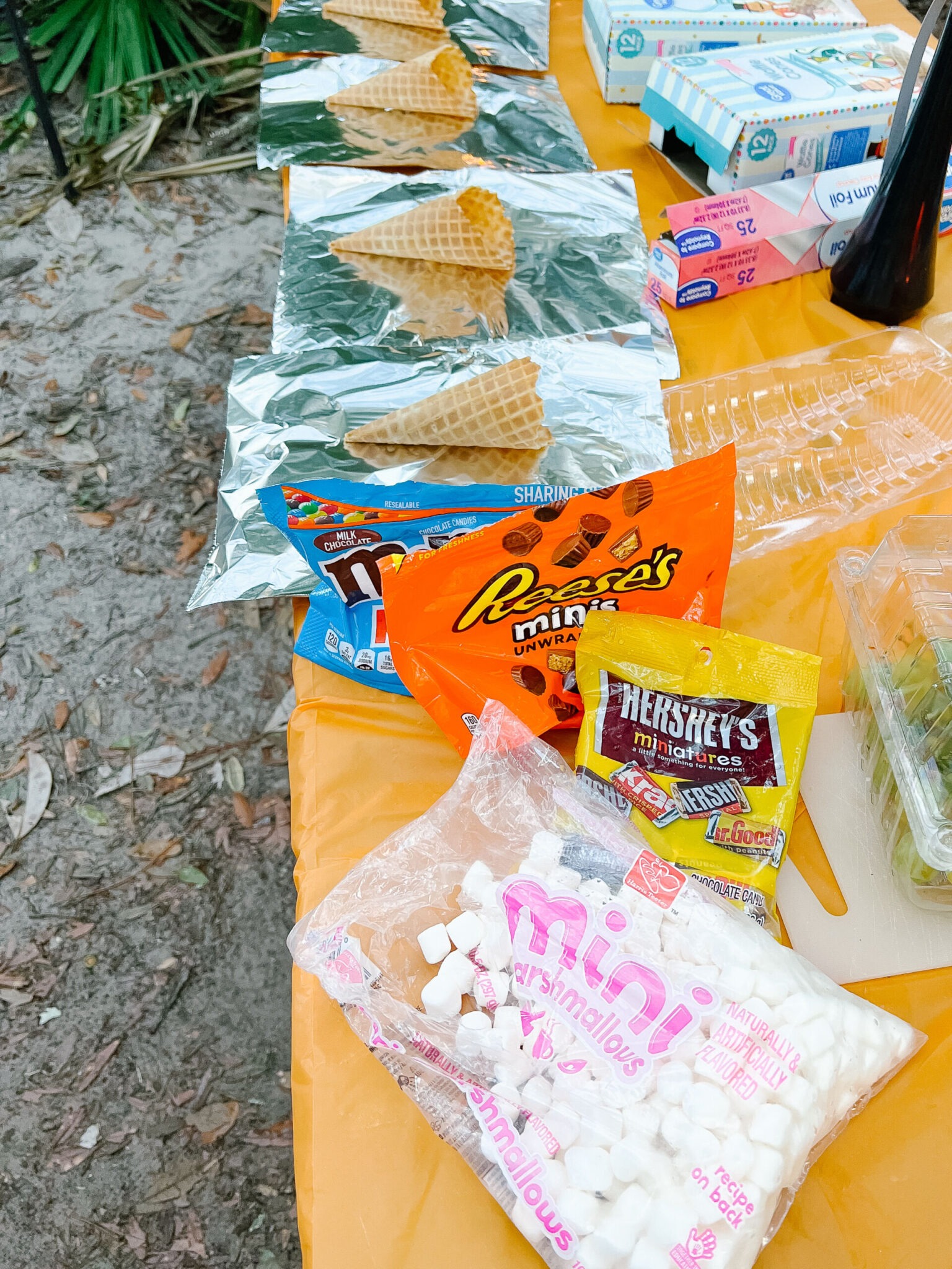 Hunting Island SC Tent Camping