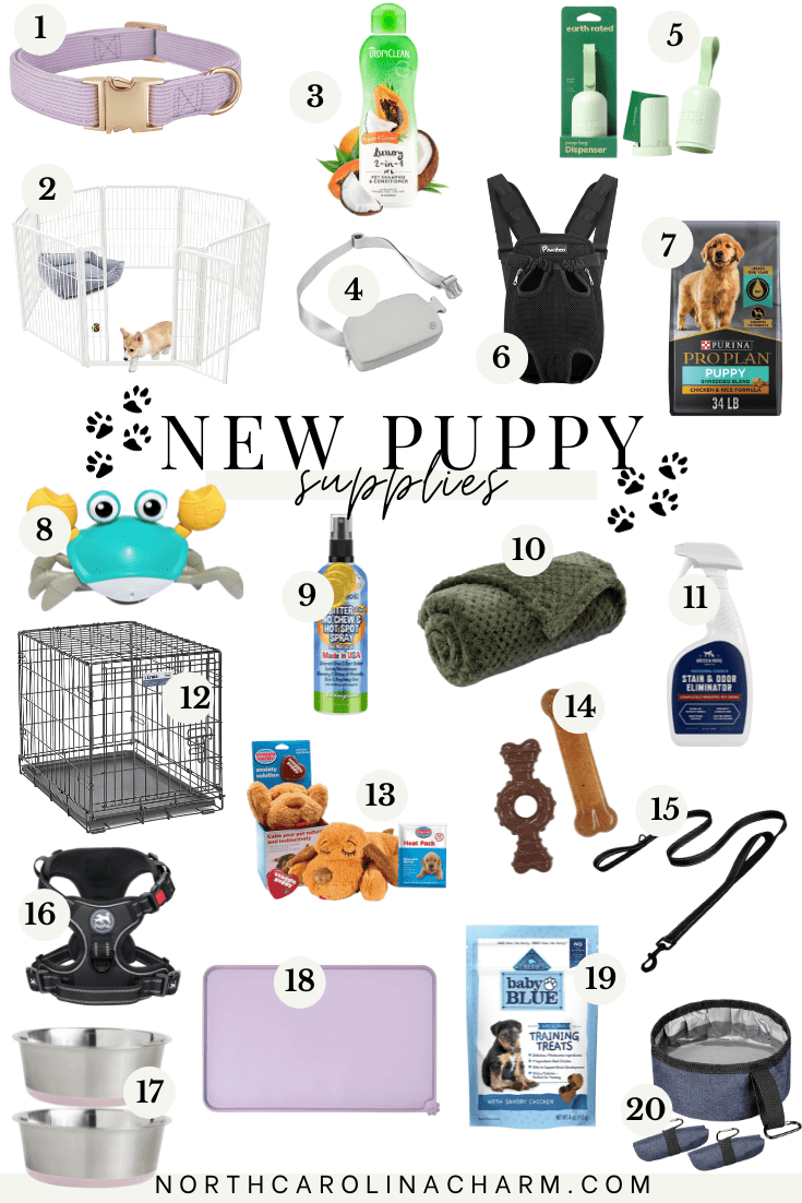 Supplies you need for a best sale puppy