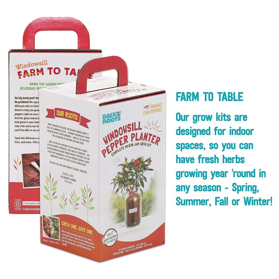 Gift Ideas for Men chili pepper kit