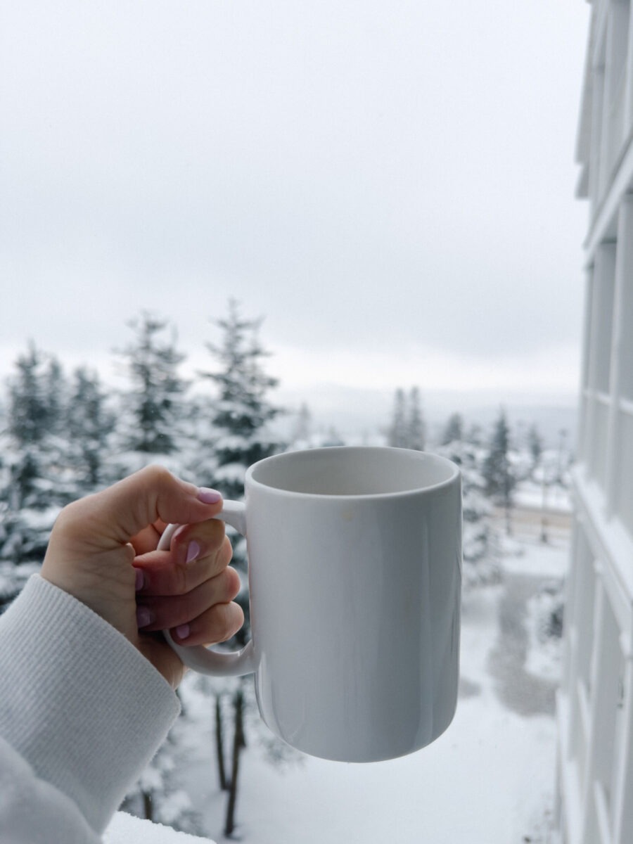 Snowshoe West Virginia Ski Resort Seneca Lodging