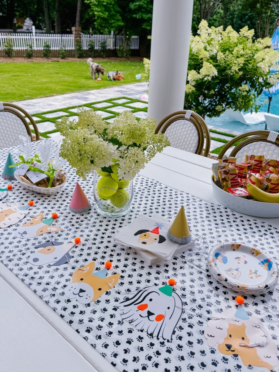 Pawty Decorations