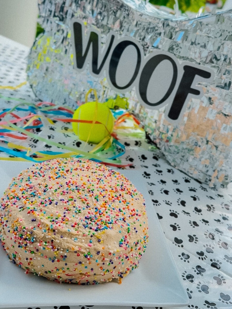 Dog Birthday Party Supplies - Puppy Cake