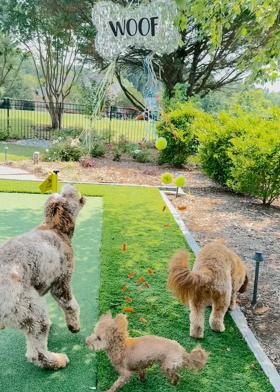 Dog Birthday Party Supplies - Puppy Pinata