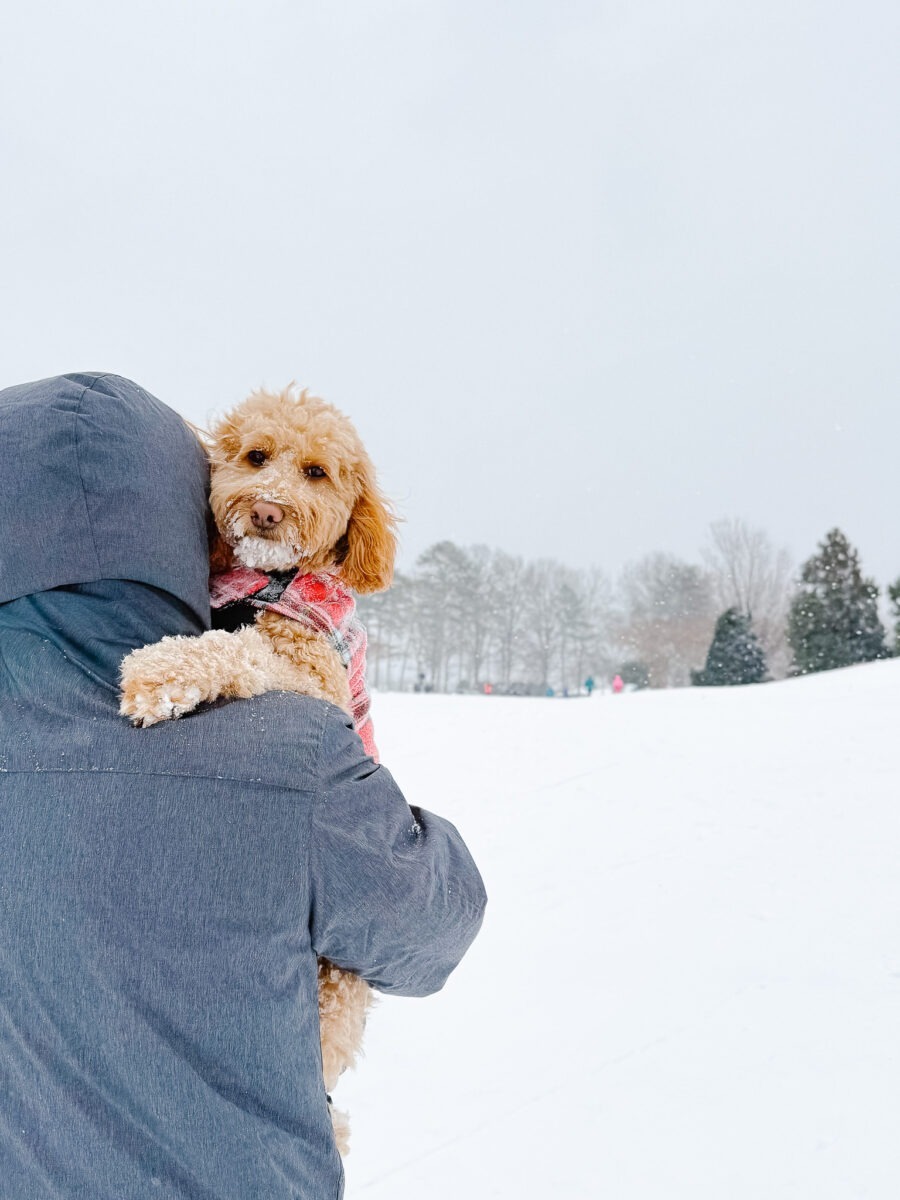 Mabel Snow January 2026