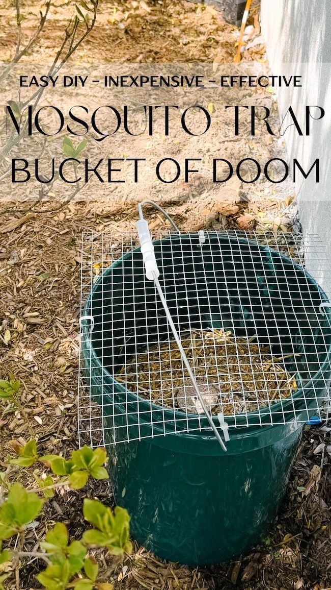 mosquito buckets of doom