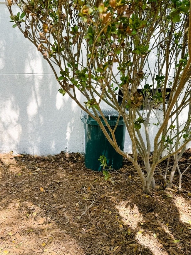 mosquito buckets of doom